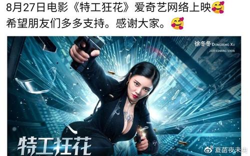 办假的智利驾驶证